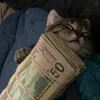 m_kenz883