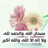 mounirkhaled969