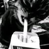 s.alfarizi__