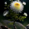 tranghuyentranghu93
