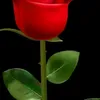 hossain.ahmed0128