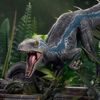 raptorrr40