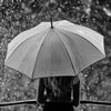 neya_rain
