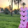 zahraafras23