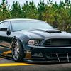 nickwayne722