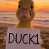 bestduck1