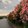 zainab_ahmed385