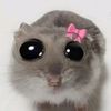 habiba_671