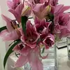 realpink_rose