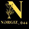 nergiz__044