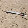 luis_santos1967