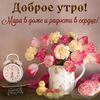 user4631428027163