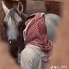 hassan_305_