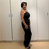 alicat1_