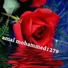 amalmohammed1729