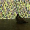 savanna_183