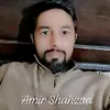 amirshahzad4896