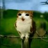 mrsyprdse