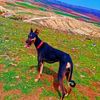 alibakr559