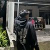vanz_2708