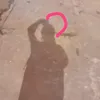 ndvsnmd