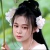 cesyaaurel205