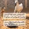 mohammadaljamous0