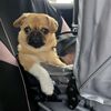 littlelienkiesadventures