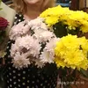 natalivas68