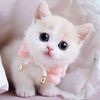 aishah_201