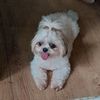 user110916082201