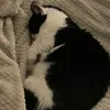 kat00183