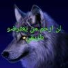 karimaouci805