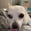 quecheers