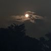 unnamed_soul