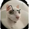 kylzier