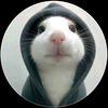pebririsqy