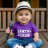 Santri Pekok