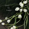 _ly.tr.31_