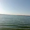 dylkwmpzdpyb