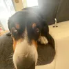 ericbfbf