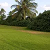 enyradieddin