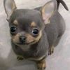 zuu.kyu