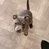 garnzdog91