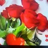 user5555046011977