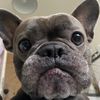 follow_for_hilde_love