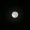 yosif_1720