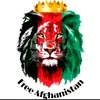 farzadhaidari107