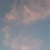 jjuliah_