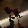 muneea.k10
